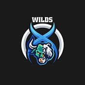 0xWilds
