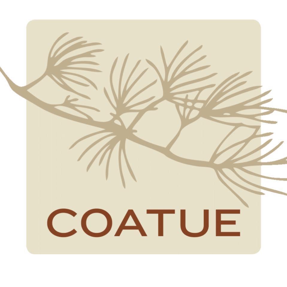 Coatue Companies
