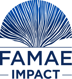 FAMAE Impact