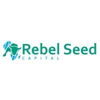 Rebel Seed Capital