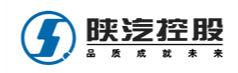 Shaanxi Automobile
